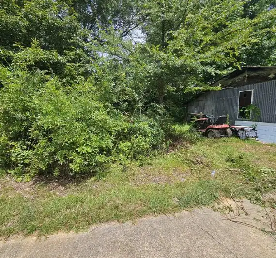 Alabama Bush Hogging