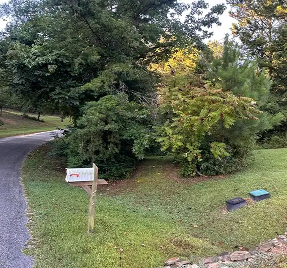 Alabama land clearing