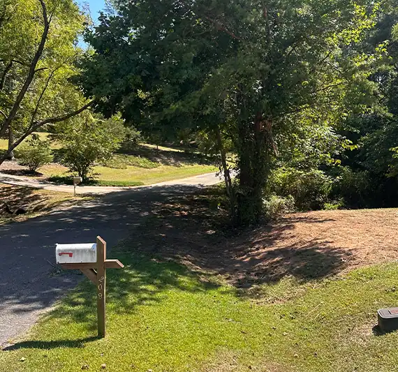 Alabama-land clearing